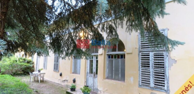 Magyarország magánkézben lévő kúriái rovatunk bemutatja: Zics ígéretét!