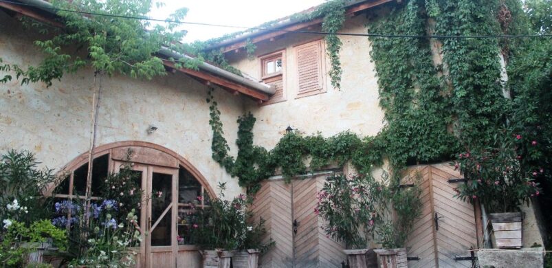 Mádi, 200 éves otthon botanikus kerttel új családját keresi!