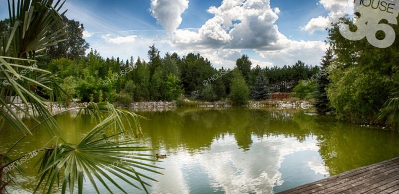 Nyugdíjas lakópark 35 hektáron: lássuk a lakásokat!