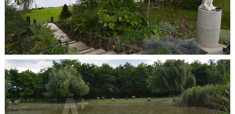 Vízparti szépségek: egy szentesi és egy mórahalmi eladó ház!