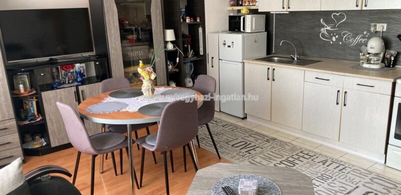 Nyíregyházán is divatos a szürke szín a lakásban. Hát még a sárkány motívum!