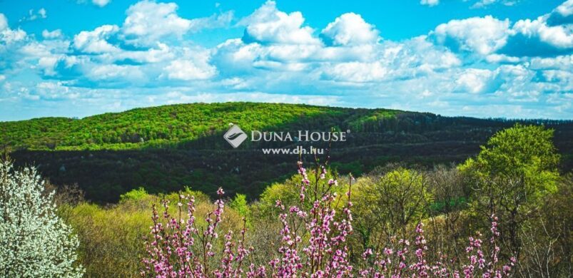 Lakhatás állandóra egy gazdasági épületben? Csácsbozsokon igen!