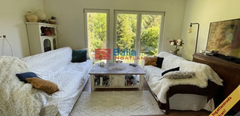 Fehérholló ritka mára a nyaraló Börzsönyligeten