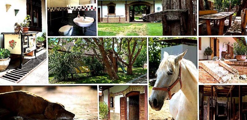 247,5 millióért lovas tanyája lehet Egyházaskozáron!