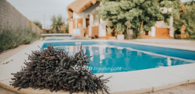 Szó szerint ínycsiklandó egy Békésszentandráson kínált, 149 milliós ház hirdetése!