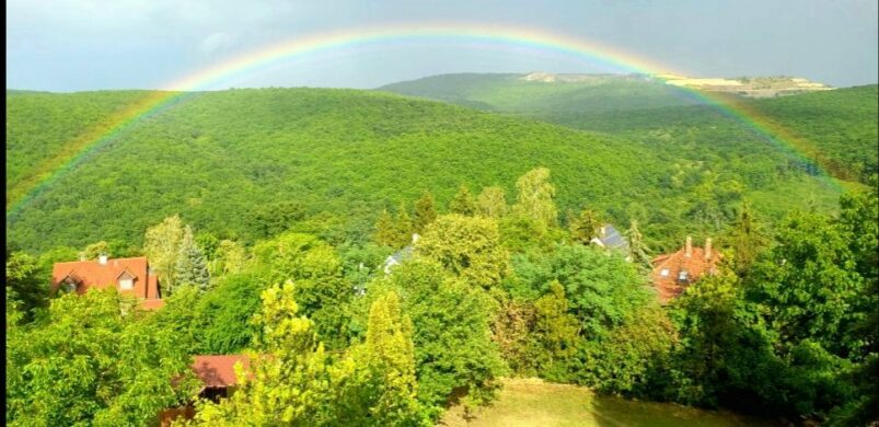 Oké. Szivárvánnyal bármi eladható! Íme a hét szarvaskői háza!