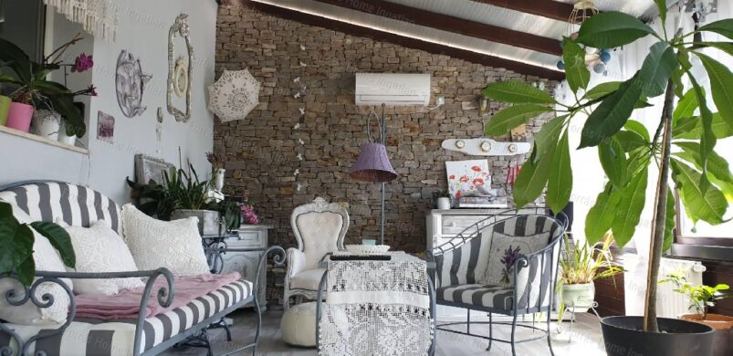 Élet Vértesszőlősön, 274 nm-en: kéne!