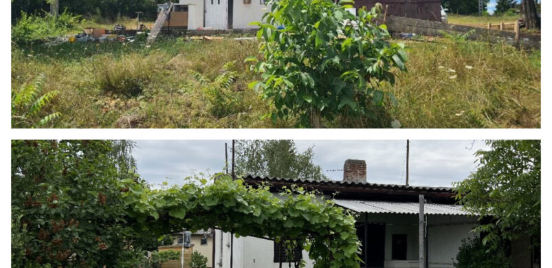 25 millió körül is akad balatoni, víz közeli nyaraló a Déli-parton!