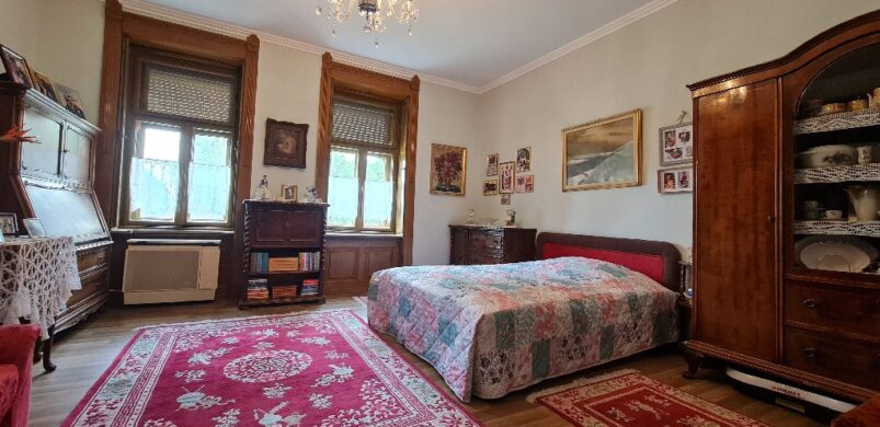 49,9 millióért eladó egy nemesi családi otthon Dunaszentgyörgyön!