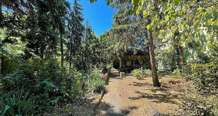 A hónap háza: fenyőfák árnyékában a Tisztviselőtelepen