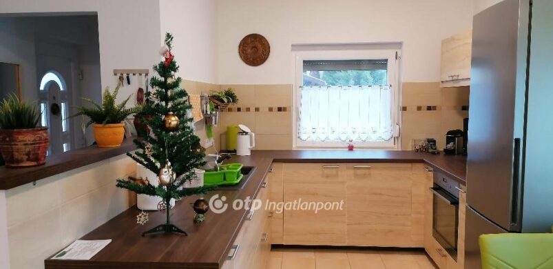 Egész évben karácsony, avagy egy szuper ház Délegyházán