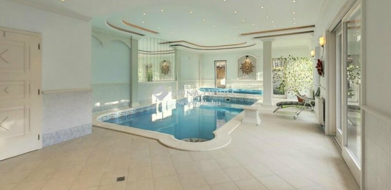 Feszített víztükör egy Vízmű dombi erdő szomszédságában…