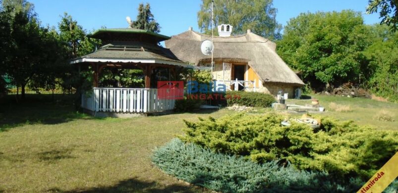 Nádtető és terméskő Tiszakécskén!