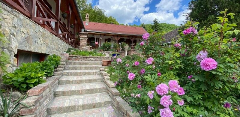 A hét ingatlana: Hosszúhetény, te csodás!