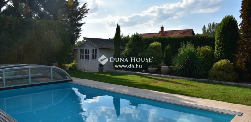 Még egy vizsla is a család házát kínálja a Szentgyörgymezei lakóparkban!