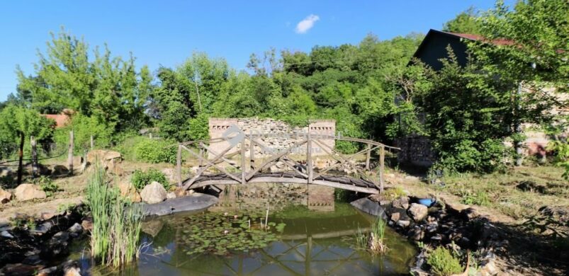 Egy 115 éves tornácos ház Szakadát csodás területén!