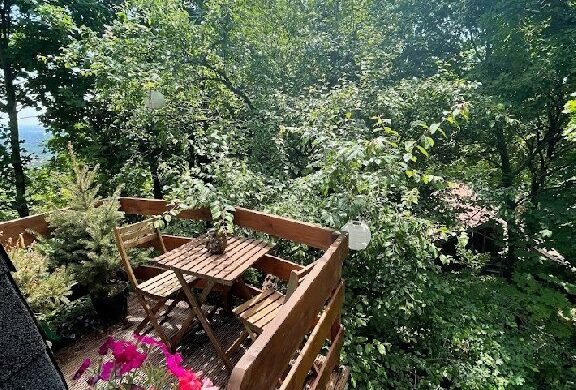 „Amikor Alice beleesett a nyúl barlangjába . . .” Csillebérc táján