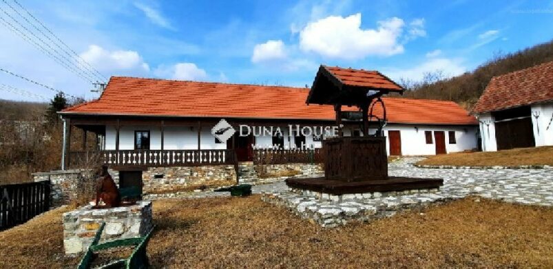 Tágas álom ház Vizsláson, nem csak vadászoknak!