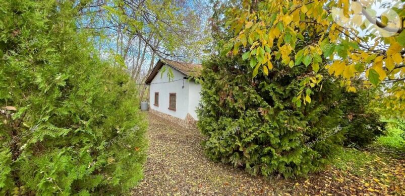 Karácsonyi kis tanya Borbás területén, jöhet?