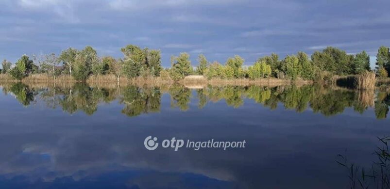 Egyszer ez még sokat érhet: eladó egy halastó és nádas Mocsán!
