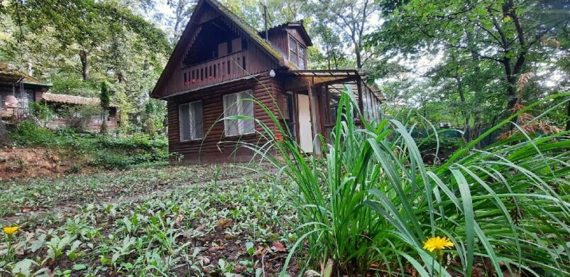 Hoppá! 25 millióért is akad még hétvégi ház Kismaroson!