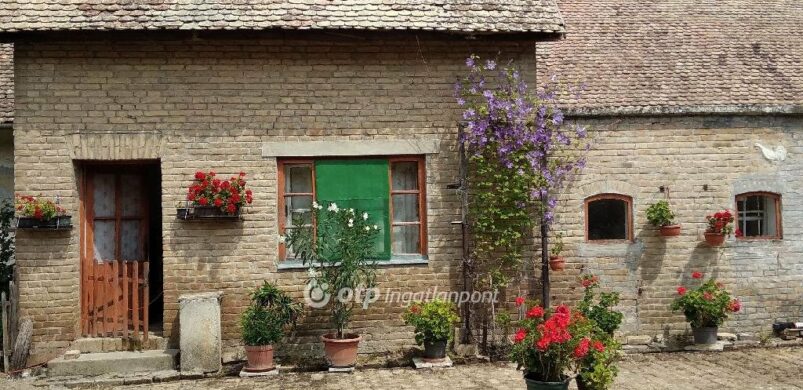 Tiszta Anglia: nyers téglafalak Sióagárd községében! 