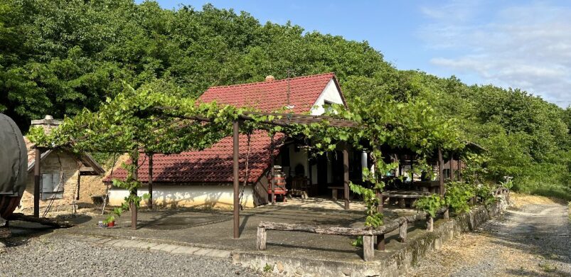 Szekszárdon, a Béla térnél nem a szavak beszélnek…