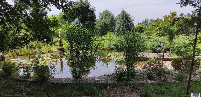 Dőzs Lajosmizsén: eladó kúria jellegű épület és birtok