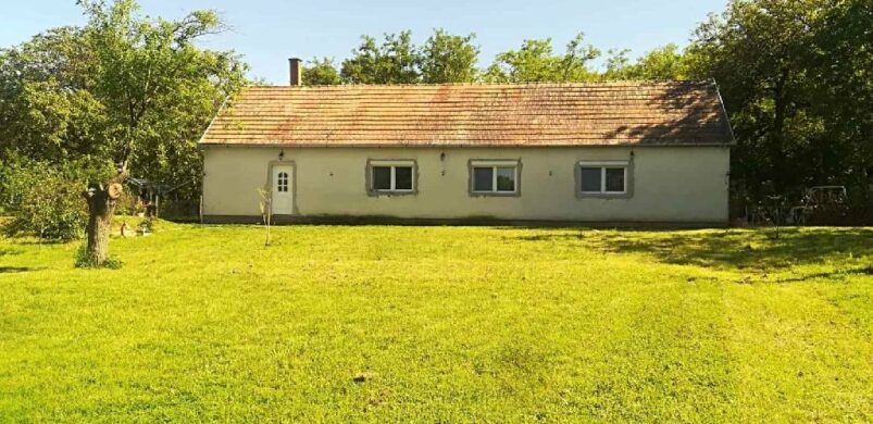 Micsoda mimikri: egy Pellérd-Szőlőhegyen kínált ház…