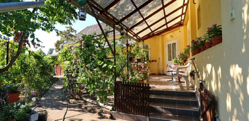 Jó kilátások Eleken: 12 millióért egy rakás szobánk lehet!