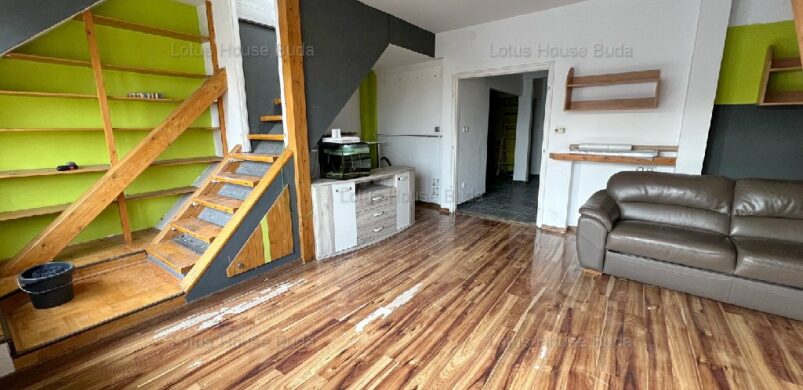 101, mint a kiskutya. Egy 101 nm-es szuper lakás!