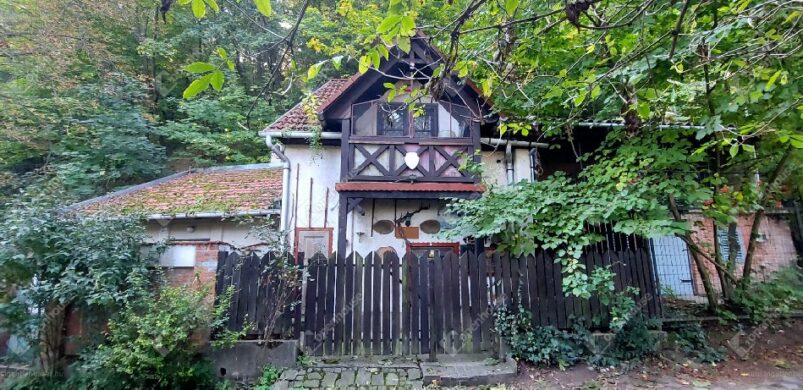 Avasi cukiság: eladó egy szuper helyes pince!