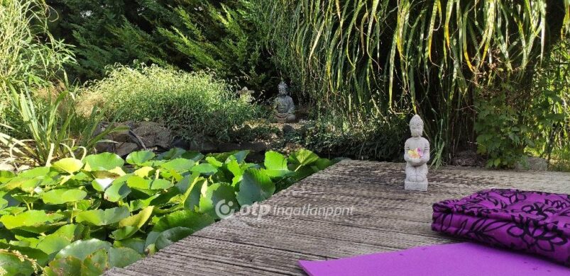 Eladó egy ragyogó, nulla energiaigényű ház Győr-Pinnyéd oázisában! 