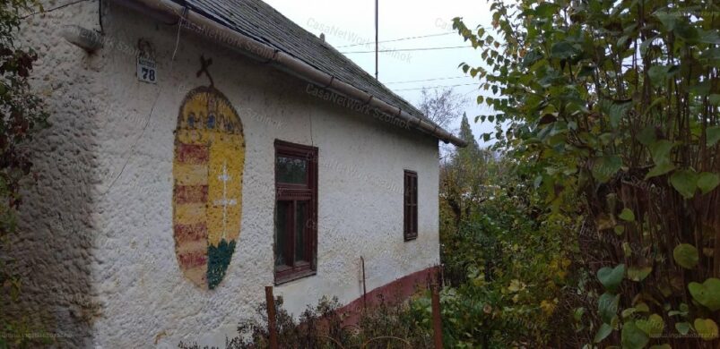 Eladó egy címeres tanya Alcsiszigeten!