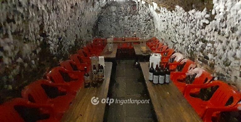 Eladó az 1970-es évektől üzemelő, szekszárdi Májer Borozó