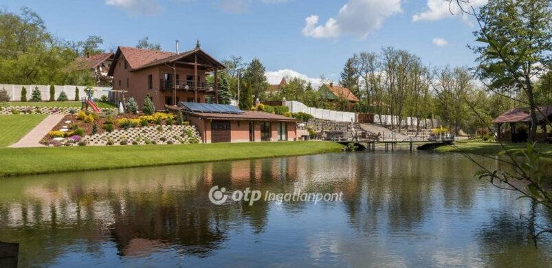 Elképesztő luxus Domonyban, egy halastó partján!