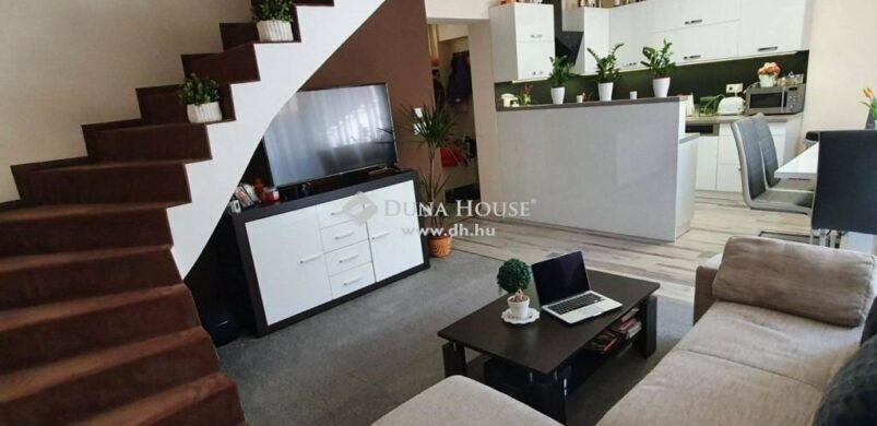 Geréby telep: egy fészek gyanús otthon (nem csak) családosoknak!