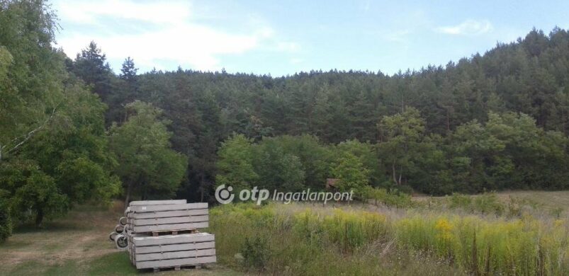 Alig akad eladó erdő, szántó Heves megyében!