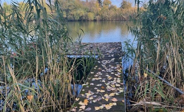Élet a Holt-Tisza partján, igényesen?