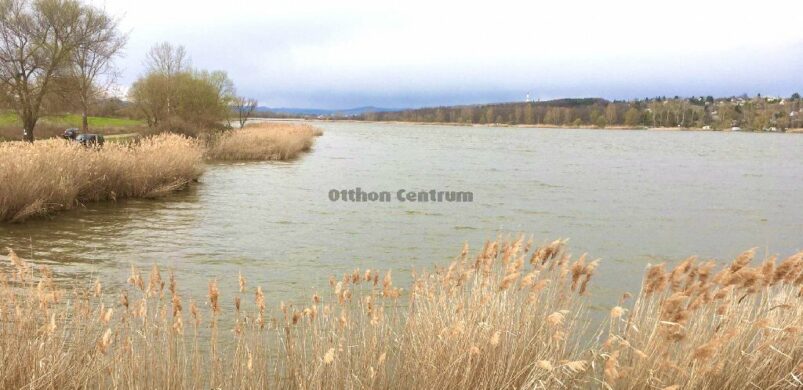 Tópartot venne? Palotáson akad!