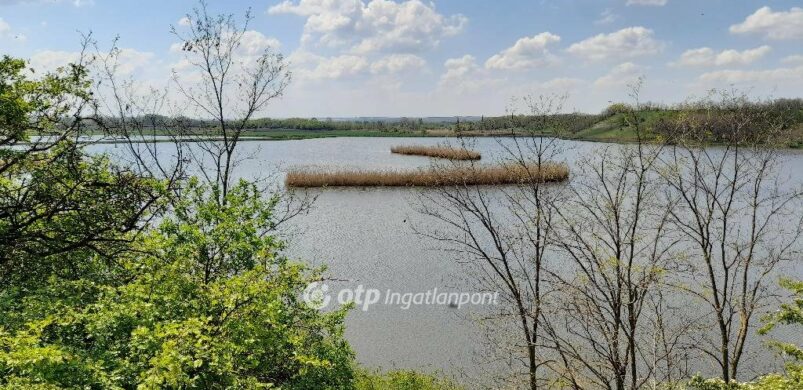 Egy simontornyai ingatlan, rengeteg vízzel!