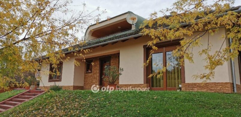 A bajai Tóth Kálmán utcában úgy fest, tudják, hogy kell élni!