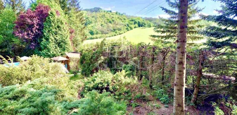 Bátorban élni álom, avagy luxus a fenyvesek alatt!