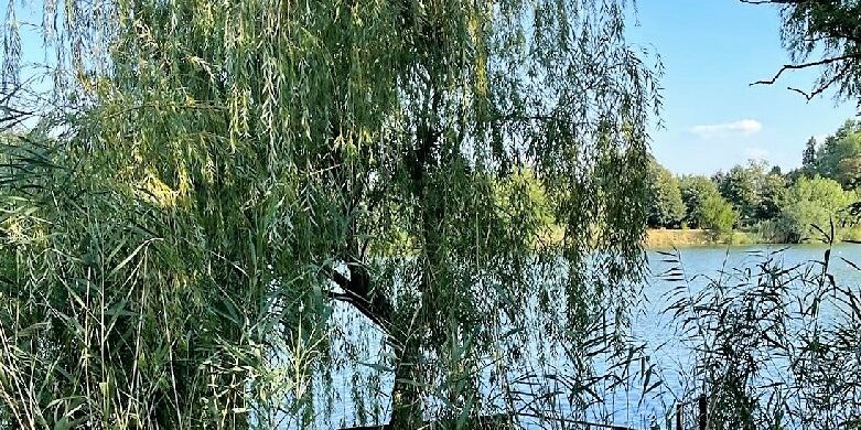 Élet kellemes környezetben a Holt-Tisza partján!