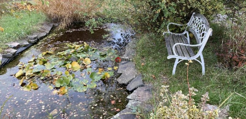 Tolmácsot? Kérek! Eladó egy Szép házak díjas álomotthon Tolmácson!