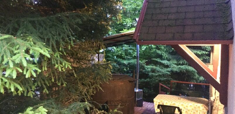 Fürdődézsás örömök Galyatetőn pesti lakás áráért?