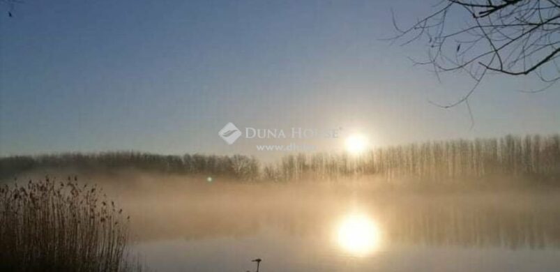 Egy kis gyöngyszem Faddon; vízparti ház gyönyörű panorámával eladó!