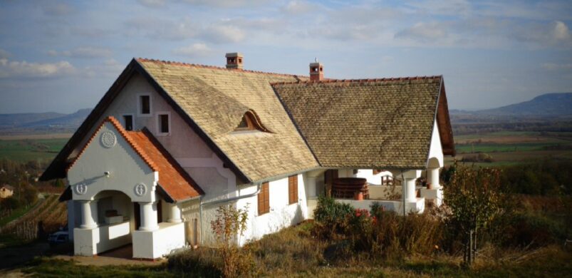 Eladó Balatonederics egyik elképesztő, 350 milliós borgazdasága!