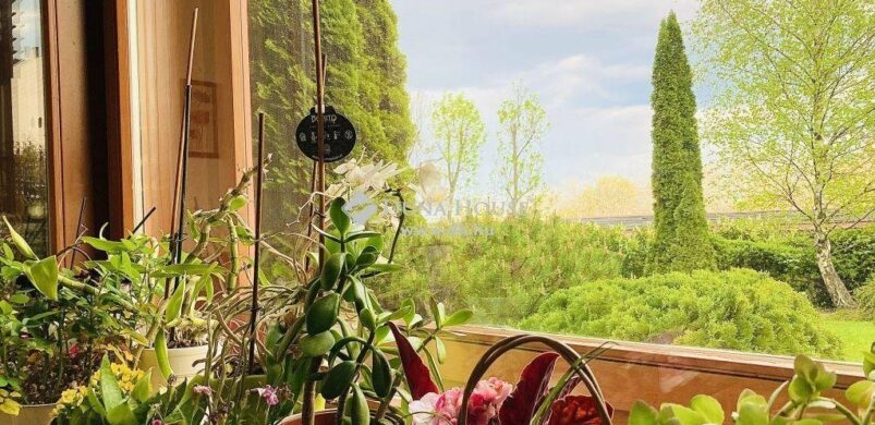 A hét lakása: egy akadálymentesen megközelíthető szépség a Hárshegyen