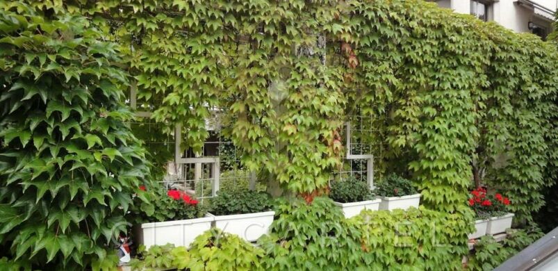 Szerelem: egy Vonnák János villa a Kis Svábhegyen